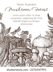 Vector illustration of mushrooms in the forest in engraving style. Graphic linear fly, mycena agaric and porcini mushroom near the stump
