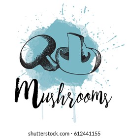 Vector illustration of mushrooms. Hand drawn