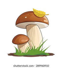 Vector illustration of mushrooms with leaf and grass.
