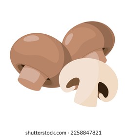 Vector illustration of mushrooms on a white background.