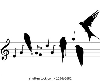 Vector illustration of music notes with birds