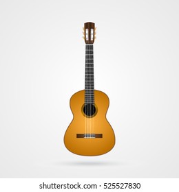 Vector illustration of a musical instrument the classical guitar.