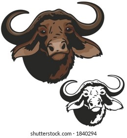 Vector illustration of a musk ox.