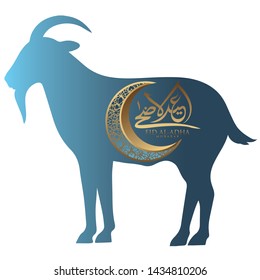 Vector illustration. Muslim holiday Eid al-Adha with golden luxurious crescen. the sacrifice a ram sheep. graphic design decoration kurban.Translation from Arabic: Eid al-Adha. 