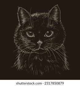 Vector illustration of a muzzle of a black cat in the style of engraving