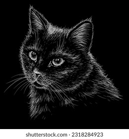 Vector illustration of a muzzle of a black cat in the style of engraving