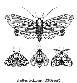 Vector illustration with mystic ornamental butterflies isolated on white. Death's head moth illustration.