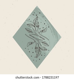 Ilustración vectorial de logotipos místicos y esotéricos en un estilo lineal minimalista a la moda. Emblemas vectoriales al estilo boho - plantas forestales