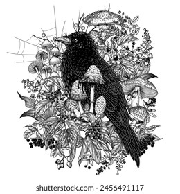 Vector illustration of a mystical raven surrounded by wild berries, flowers, mushrooms, cobwebs in engraving style