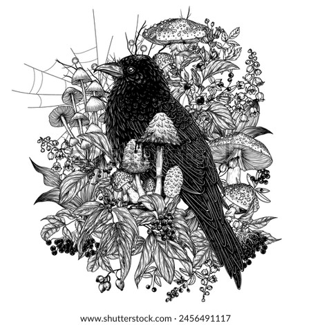Vector illustration of a mystical raven surrounded by wild berries, flowers, mushrooms, cobwebs in engraving style