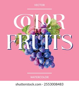 Vector illustration of n bunch of red grapes with embedded text. Graphic concept for poster