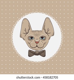 Vector Illustration with a naked cat of breed the Sphinx on the background of polka dot frame. Hand-drawn.
