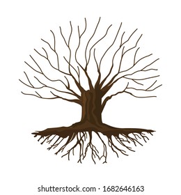 Vector Illustration Naked Tree On White Stock Vector Royalty Free Shutterstock