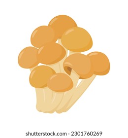 Vector illustration of nameko mushrooms.