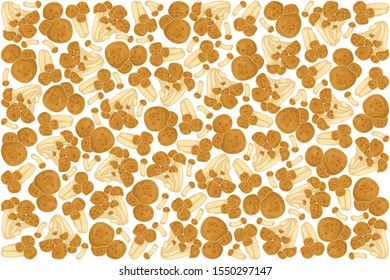 vector illustration of nameko mushrooms design background white and mushroom EPS10