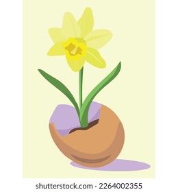 Vector illustration of a narcissus; growing in an eggshell. Pastel colors; green,  yellow; pink; beige. Easter. For postcards; invitations; children's magazines.