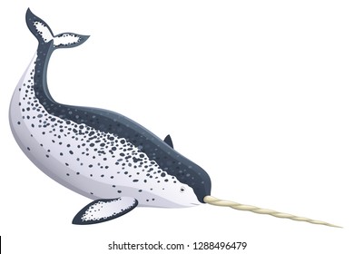 Vector illustration of a narwhal.