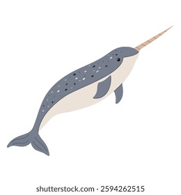 Vector illustration of a narwhal isolated on a white background.Polar marine animals