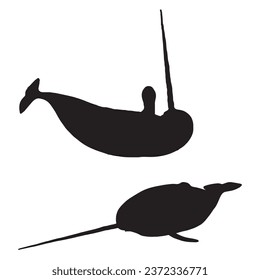 Vector Illustration of Narwhal Silhouette