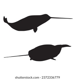 Vector Illustration of Narwhal Silhouette