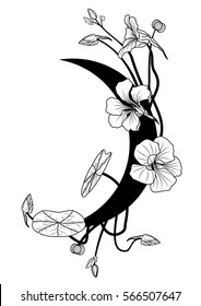vector illustration with nasturtium and moon in black and white colors