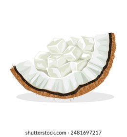 Vector illustration of nata de coco, also called coconut jelly, on a coconut, isolated on a white background.