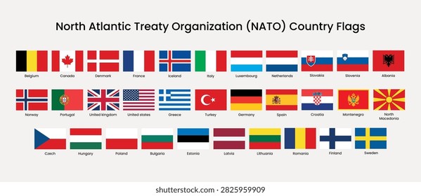 Vector illustration of NATO country flags, featuring a diverse array of designs and colors representing member nations.