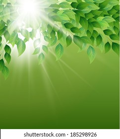 Vector illustration of Natural background