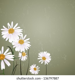 Vector Illustration of a Natural Background with Daisies