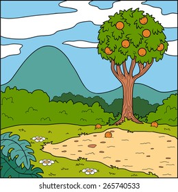 Vector illustration, natural background (glade and orange tree)