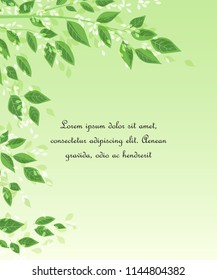 Vector illustration Natural background with green leaves. Fresh green tree leaves