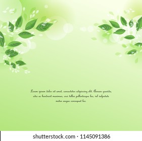 Vector illustration Natural background with green leaves. Fresh green tree leaves