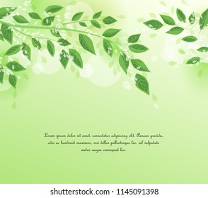 Vector illustration Natural background with green leaves. Fresh green tree leaves