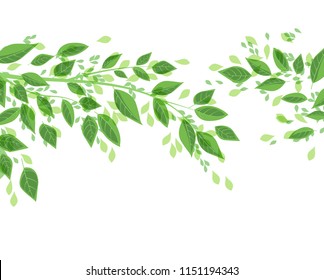 Vector illustration Natural background with green leaves. Fresh green tree leaves