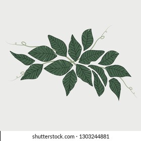 Vector illustration Natural background with green leaves. Fresh green leaves