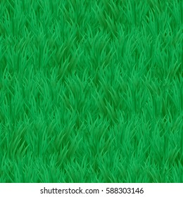 Vector illustration. The natural background. Green grass.