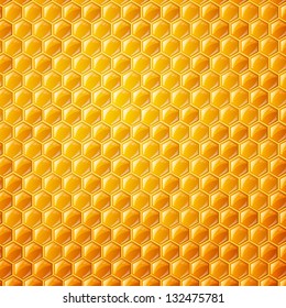 Vector Illustration of a Natural Background with Honeycombs