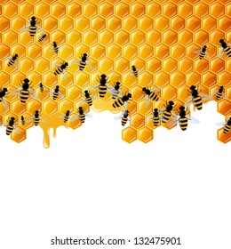 Vector Illustration of a Natural Background with Honeycombs and the Bees