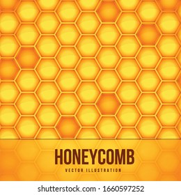 Vector Illustration of a Natural Background with Honeycombs