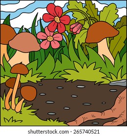 Vector illustration, natural background (meadow mushroom)