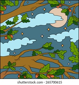 Vector illustration, natural background (night forest)