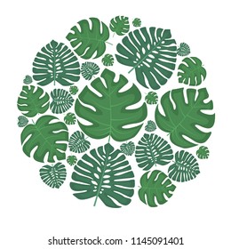 Vector illustration of natural background with palm green leaves. Exotic green tree leaves