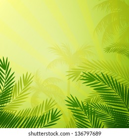 Vector Illustration of a Natural Background with Palm Trees