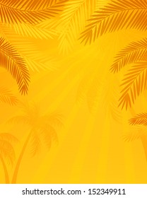 Vector Illustration of a Natural Background with Palm Trees