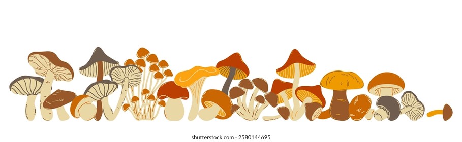 Vector illustration of natural forest mushrooms of the lower frame on a white background. Doodle styles.