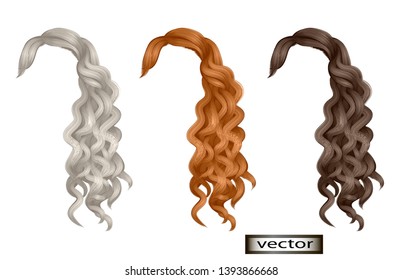 Vector Illustration Of Natural Looking Long Curly Hair, Curls