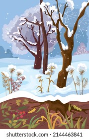 Vector illustration of natural phenomenon how plants hibernate in sectional picture