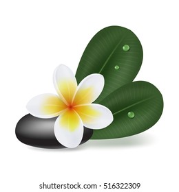 Vector Illustration With Natural Plumeria Flower, Leaves And Stone In SPA Style Isolated On White Background