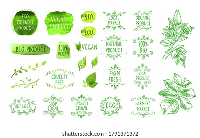 Vector illustration, natural product icons set isolated on white background, organic foods, healthy eating, hand drawn illustration, green leaves.
