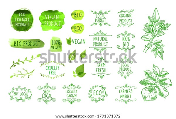 Vector illustration, natural product\
icons set isolated on white background, organic foods, healthy\
eating, hand drawn illustration, green\
leaves.\
